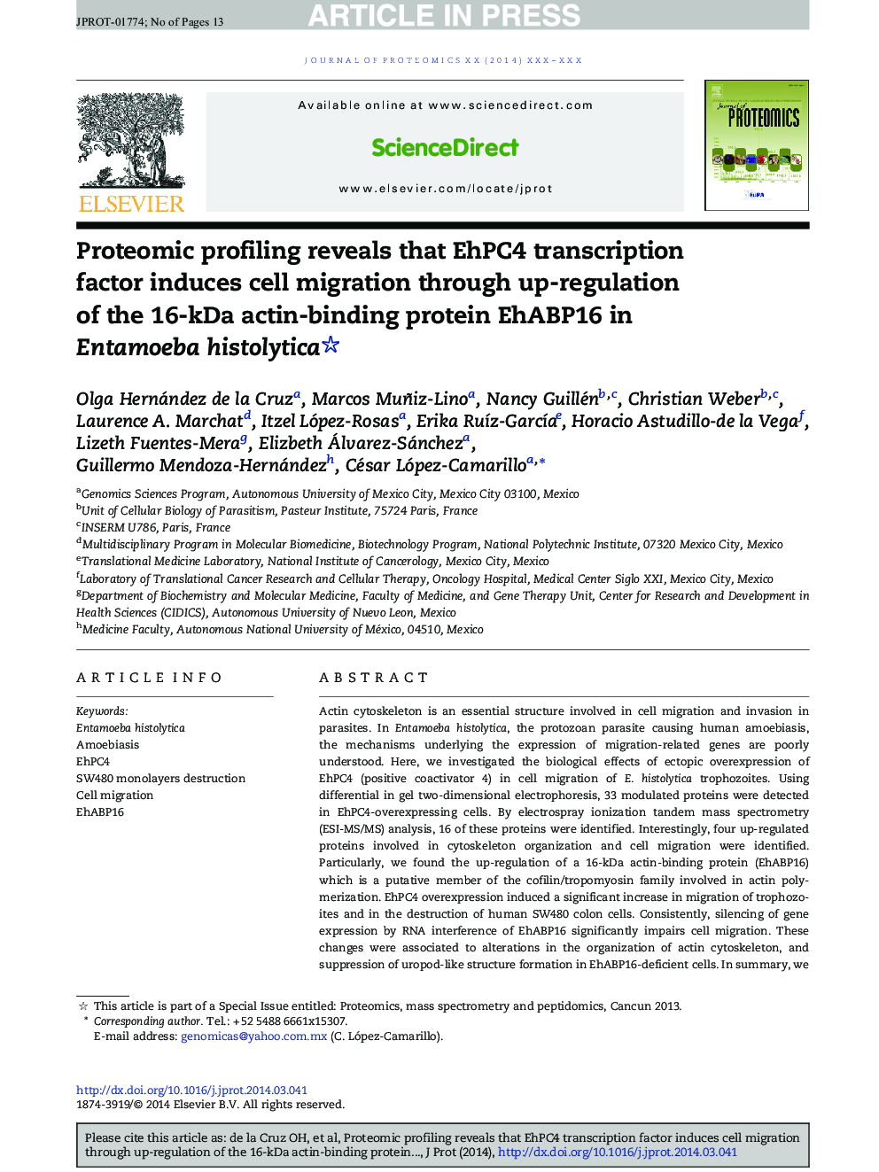 Proteomic profiling reveals that EhPC4 transcription factor induces cell migration through up-regulation of the 16-kDa actin-binding protein EhABP16 in Entamoeba histolytica