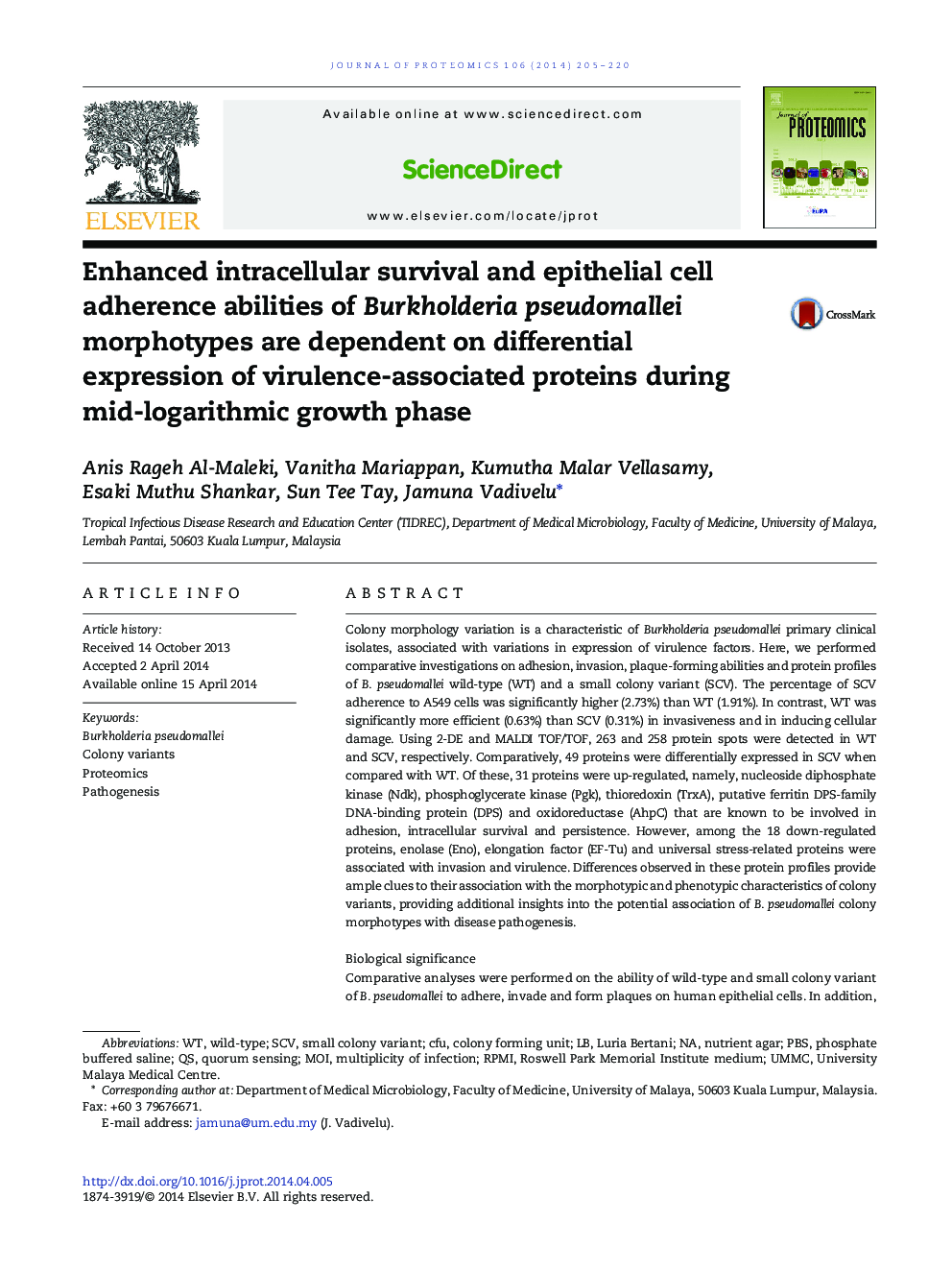 Enhanced intracellular survival and epithelial cell adherence abilities of Burkholderia pseudomallei morphotypes are dependent on differential expression of virulence-associated proteins during mid-logarithmic growth phase