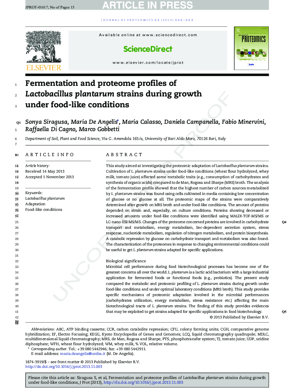 Fermentation and proteome profiles of Lactobacillus plantarum strains during growth under food-like conditions