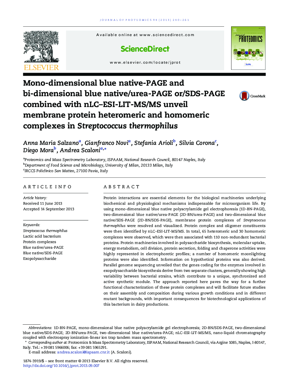 Mono-dimensional blue native-PAGE and bi-dimensional blue native/urea-PAGE or/SDS-PAGE combined with nLC-ESI-LIT-MS/MS unveil membrane protein heteromeric and homomeric complexes in Streptococcus thermophilus