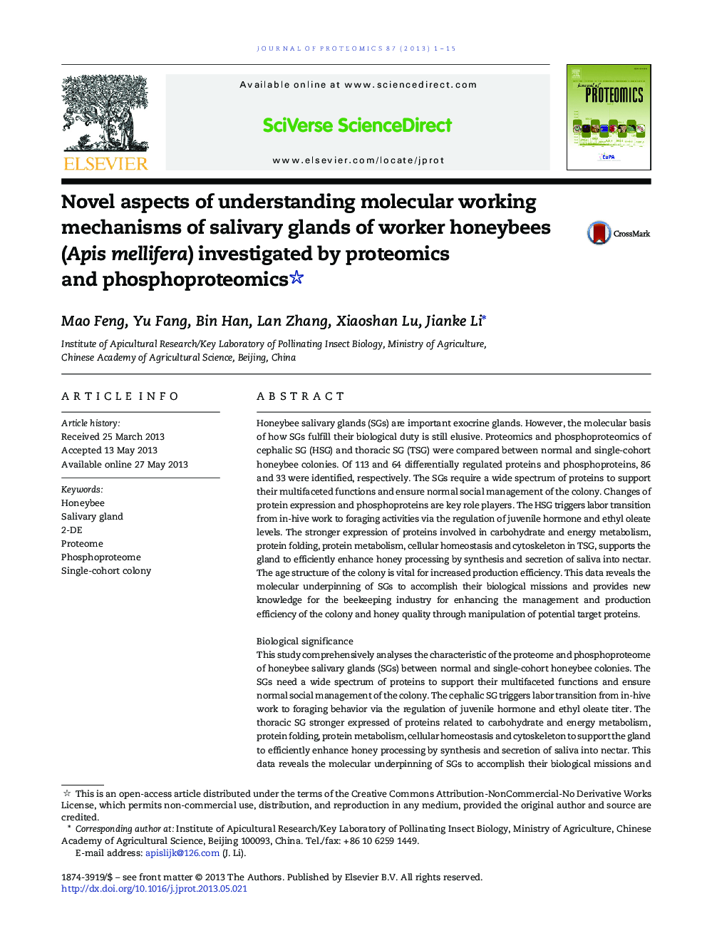 Novel aspects of understanding molecular working mechanisms of salivary glands of worker honeybees (Apis mellifera) investigated by proteomics and phosphoproteomics