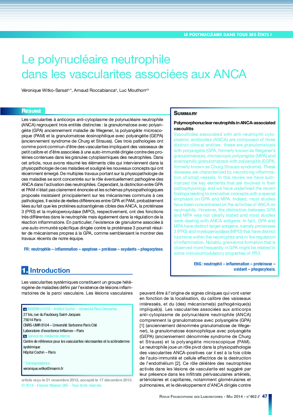 Le polynucléaire neutrophile dans les vascularites associées aux ANCA