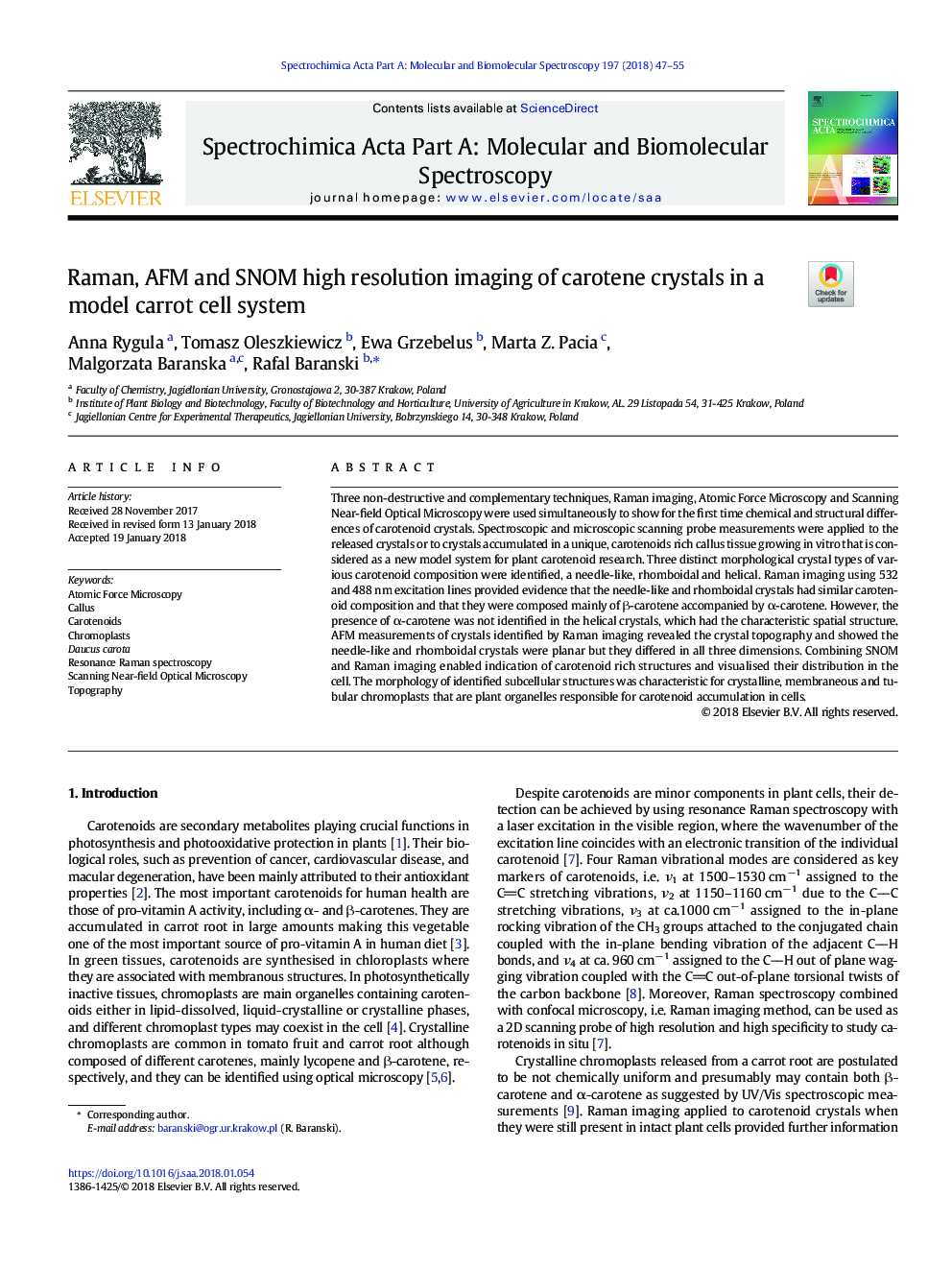 Raman, AFM and SNOM high resolution imaging of carotene crystals in a model carrot cell system