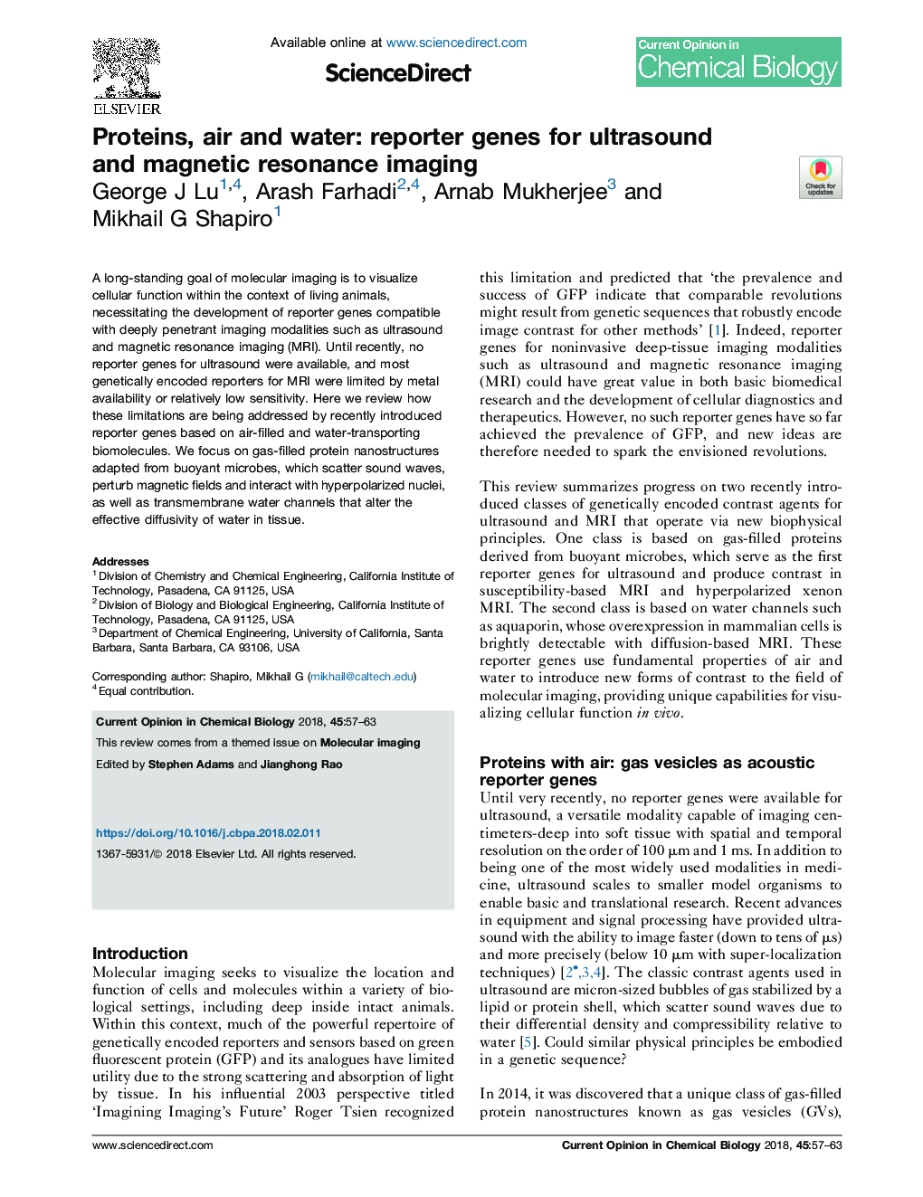 Proteins, air and water: reporter genes for ultrasound and magnetic resonance imaging