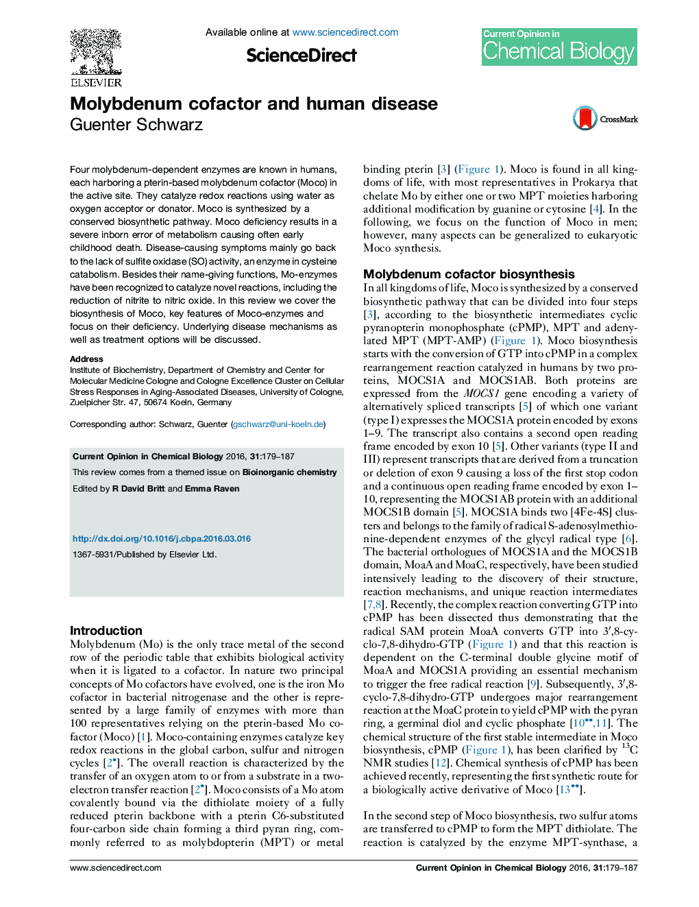 Molybdenum cofactor and human disease