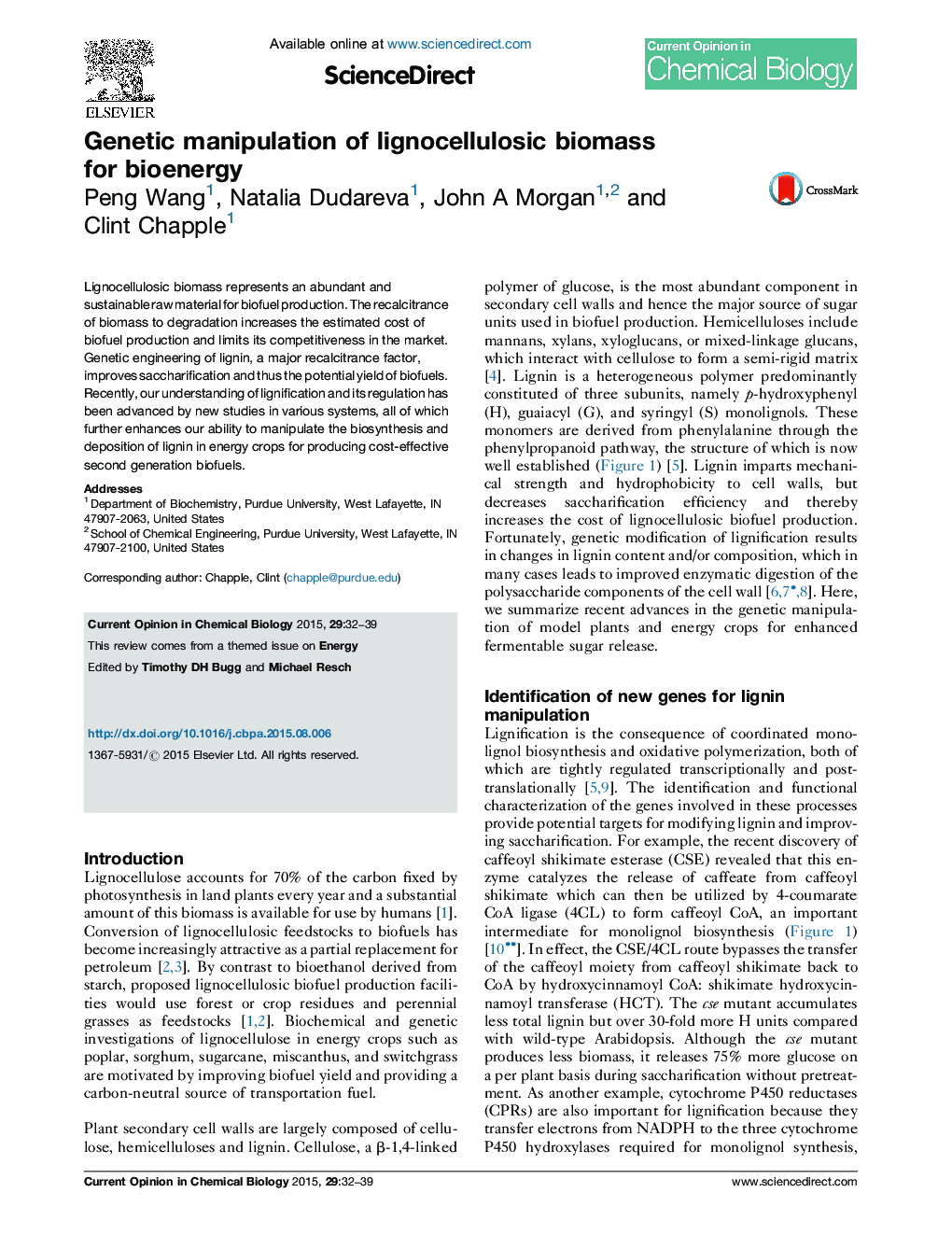 Genetic manipulation of lignocellulosic biomass for bioenergy