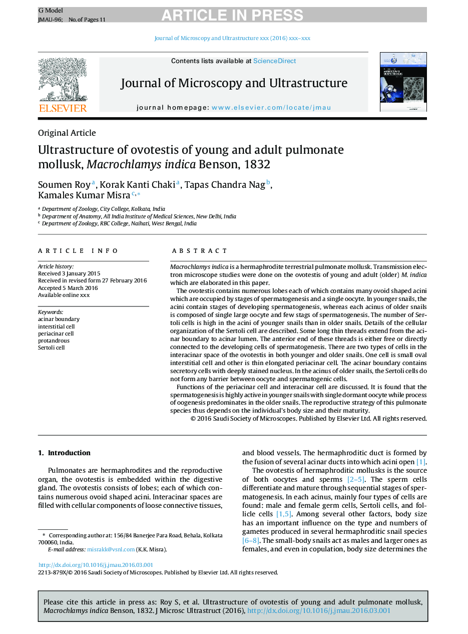 Ultrastructure of ovotestis of young and adult pulmonate mollusk, Macrochlamys indica Benson, 1832