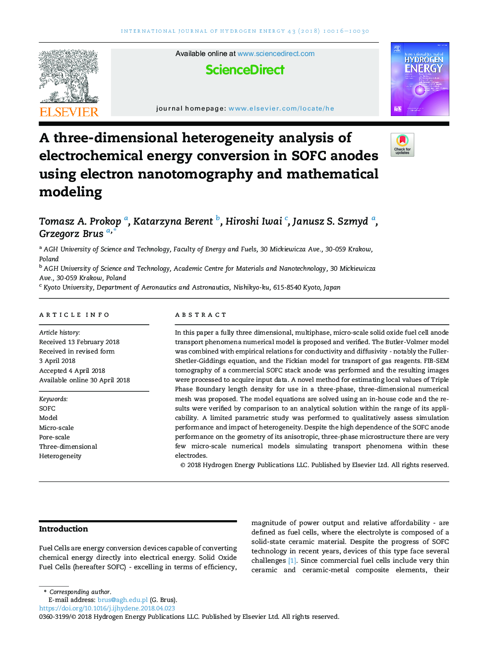 A three-dimensional heterogeneity analysis of electrochemical energy conversion in SOFC anodes using electron nanotomography and mathematical modeling