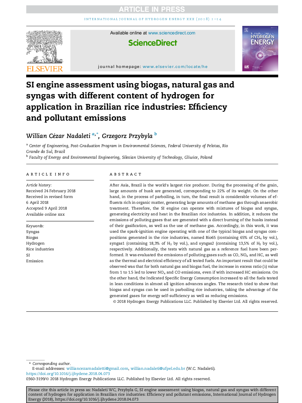 SI engine assessment using biogas, natural gas and syngas with different content of hydrogen for application in Brazilian rice industries: Efficiency and pollutant emissions