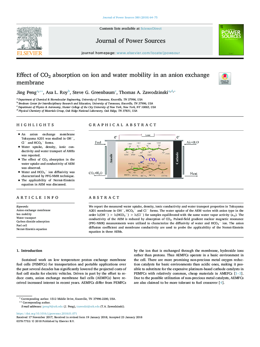 Effect of CO2 absorption on ion and water mobility in an anion exchange membrane