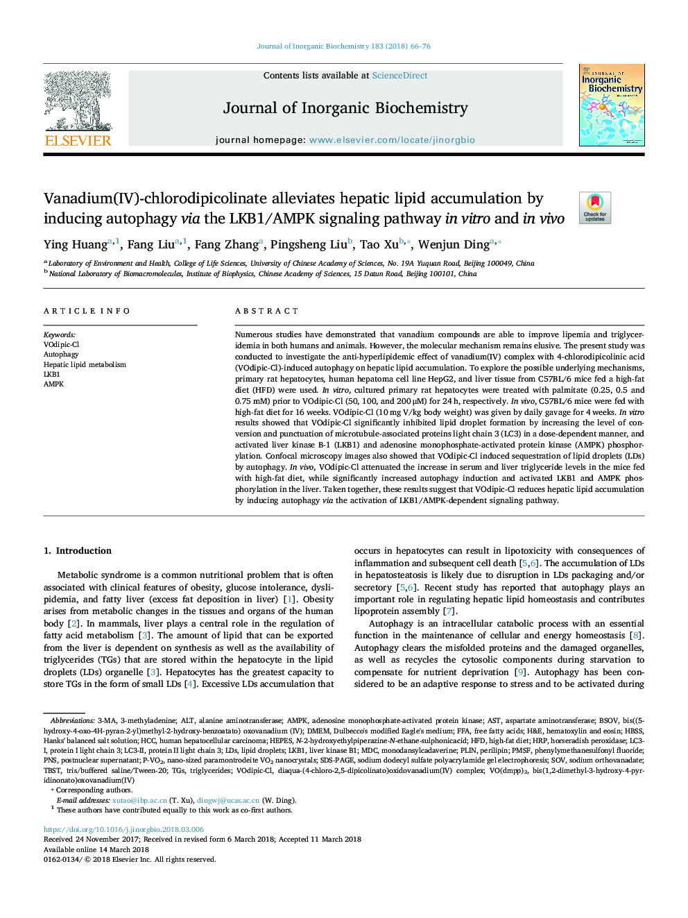 Vanadium(IV)-chlorodipicolinate alleviates hepatic lipid accumulation by inducing autophagy via the LKB1/AMPK signaling pathway in vitro and in vivo