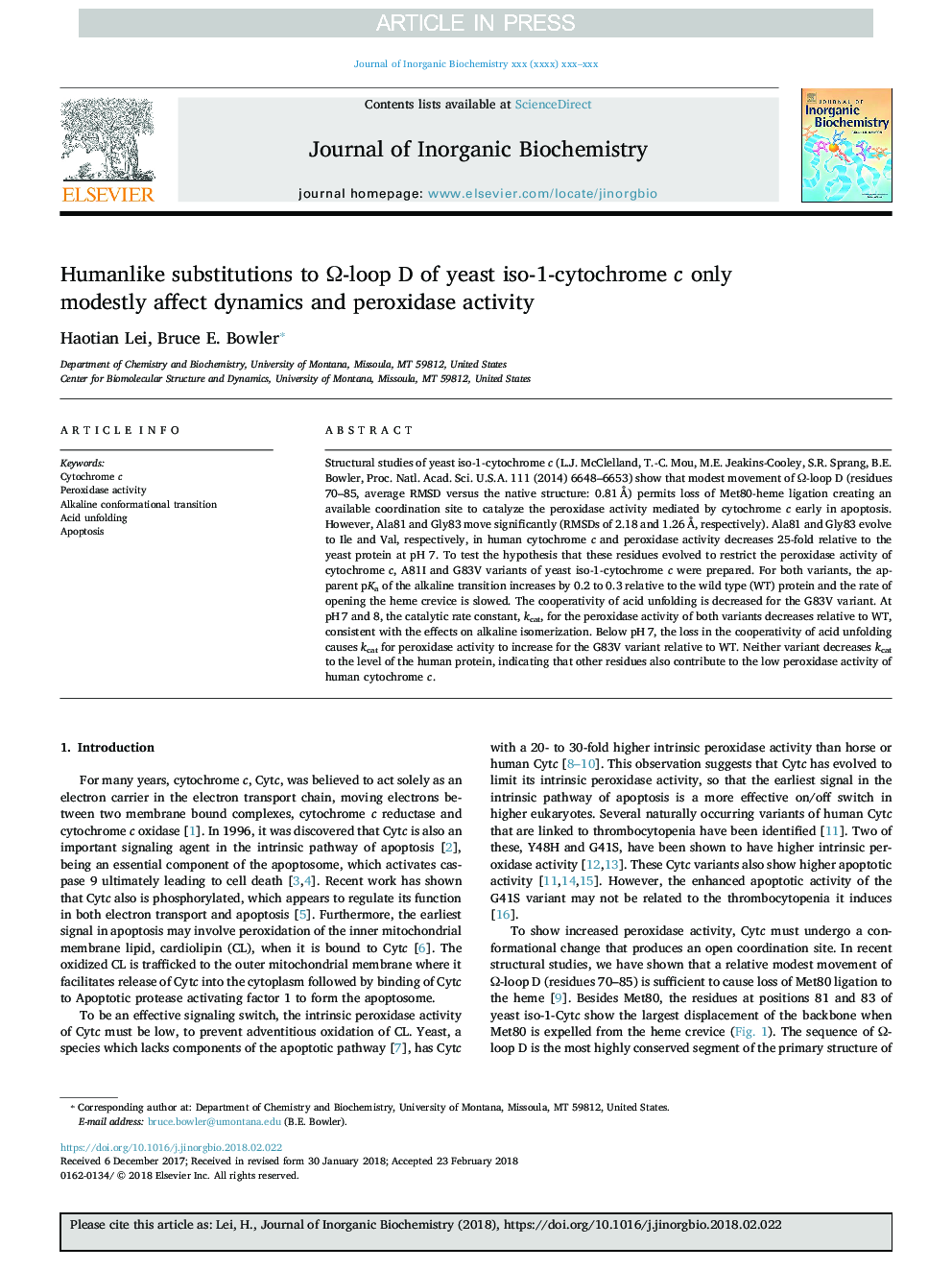 Humanlike substitutions to Î©-loop D of yeast iso-1-cytochrome c only modestly affect dynamics and peroxidase activity