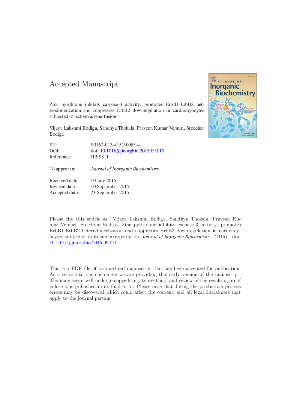 Zinc pyrithione inhibits caspase-3 activity, promotes ErbB1-ErbB2 heterodimerization and suppresses ErbB2 downregulation in cardiomyocytes subjected to ischemia/reperfusion