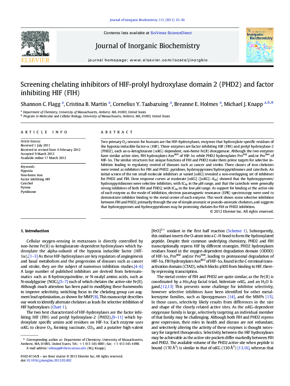 Screening chelating inhibitors of HIF-prolyl hydroxylase domain 2 (PHD2) and factor inhibiting HIF (FIH)