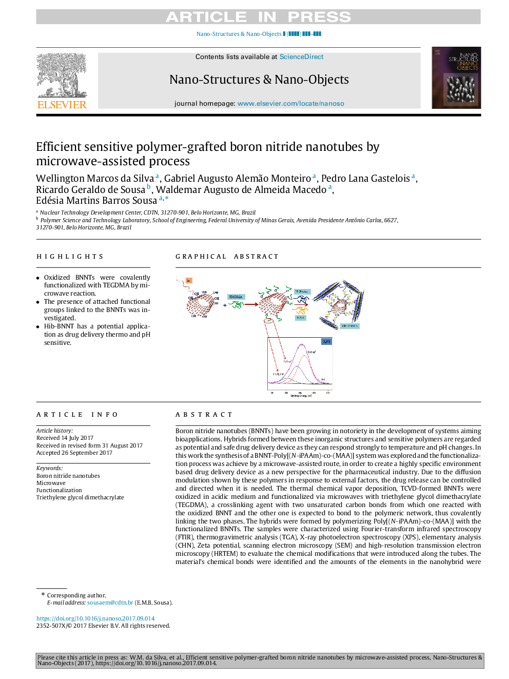 Efficient sensitive polymer-grafted boron nitride nanotubes by microwave-assisted process