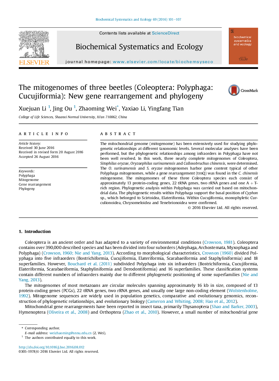 The mitogenomes of three beetles (Coleoptera: Polyphaga: Cucujiformia): New gene rearrangement and phylogeny