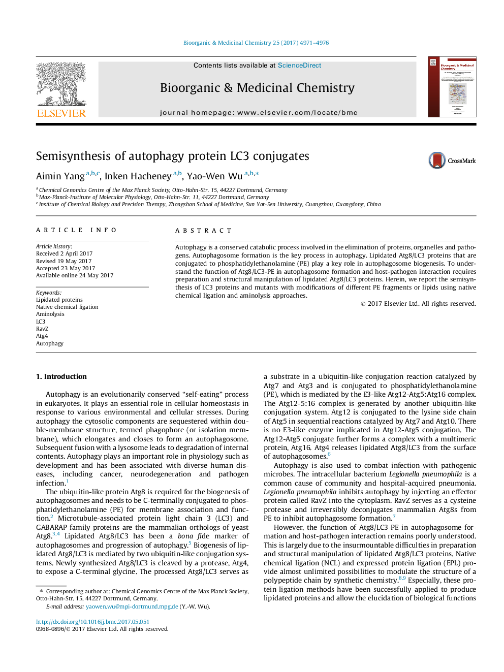 Semisynthesis of autophagy protein LC3 conjugates