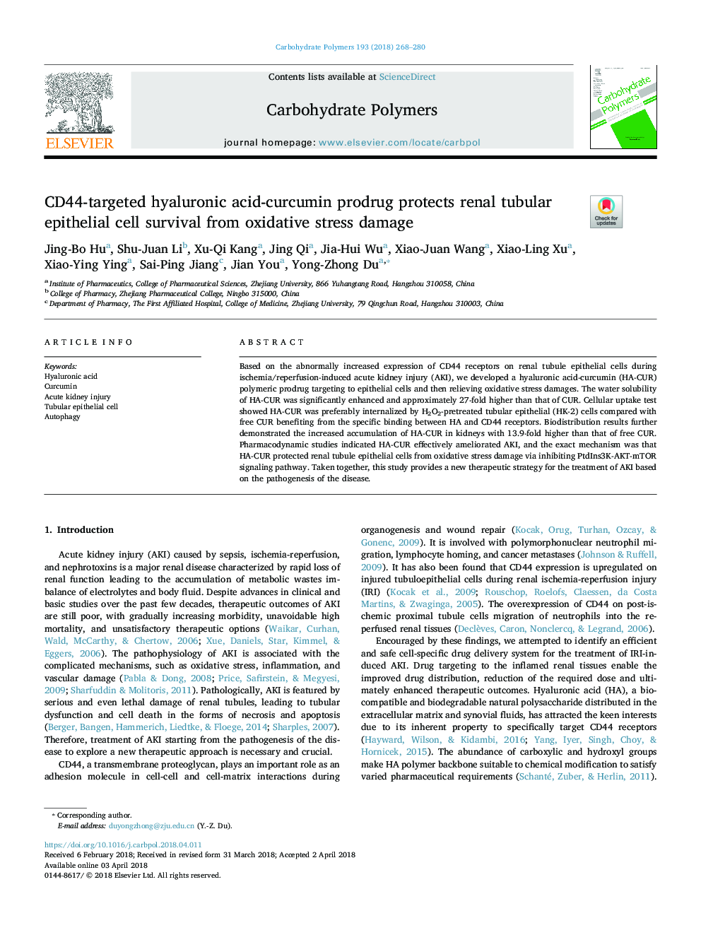 CD44-targeted hyaluronic acid-curcumin prodrug protects renal tubular epithelial cell survival from oxidative stress damage