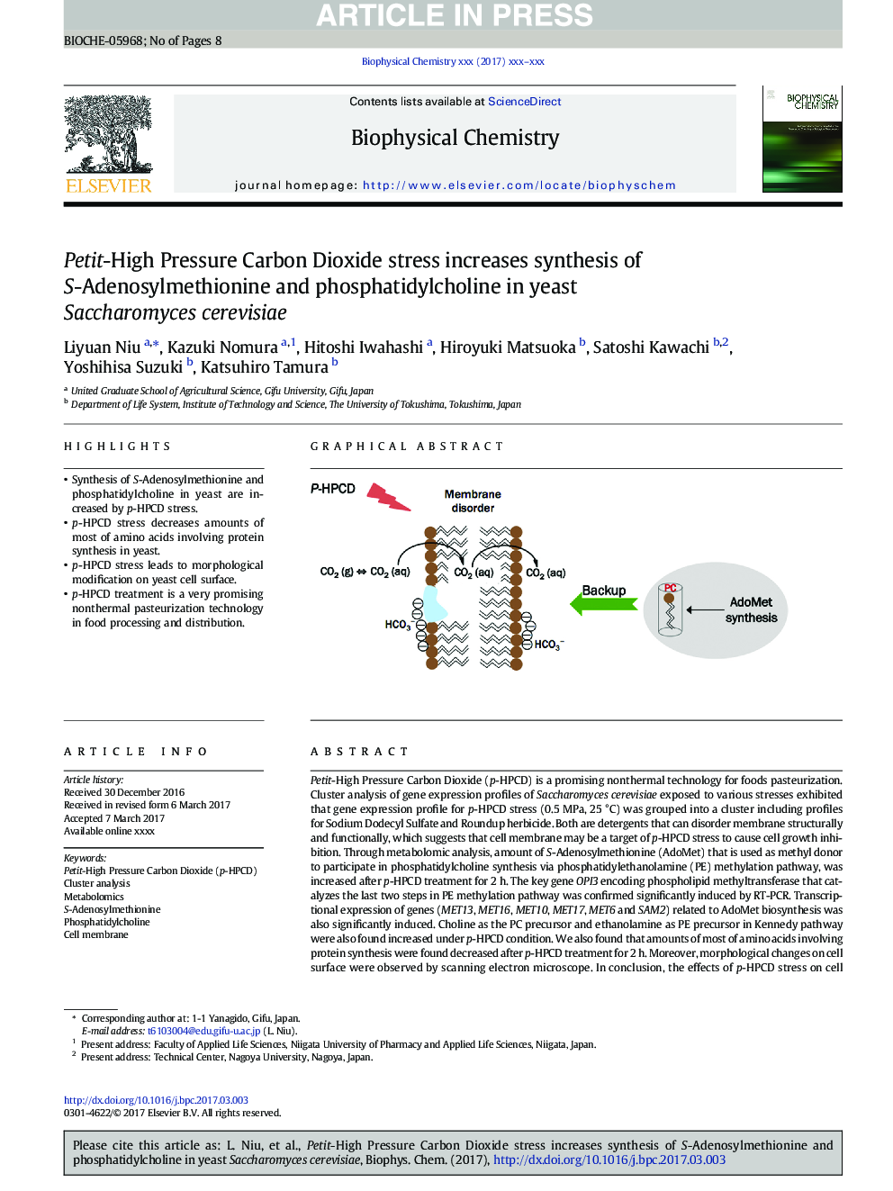 Petit-High Pressure Carbon Dioxide stress increases synthesis of S-Adenosylmethionine and phosphatidylcholine in yeast Saccharomyces cerevisiae