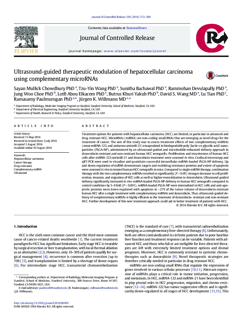 Ultrasound-guided therapeutic modulation of hepatocellular carcinoma using complementary microRNAs