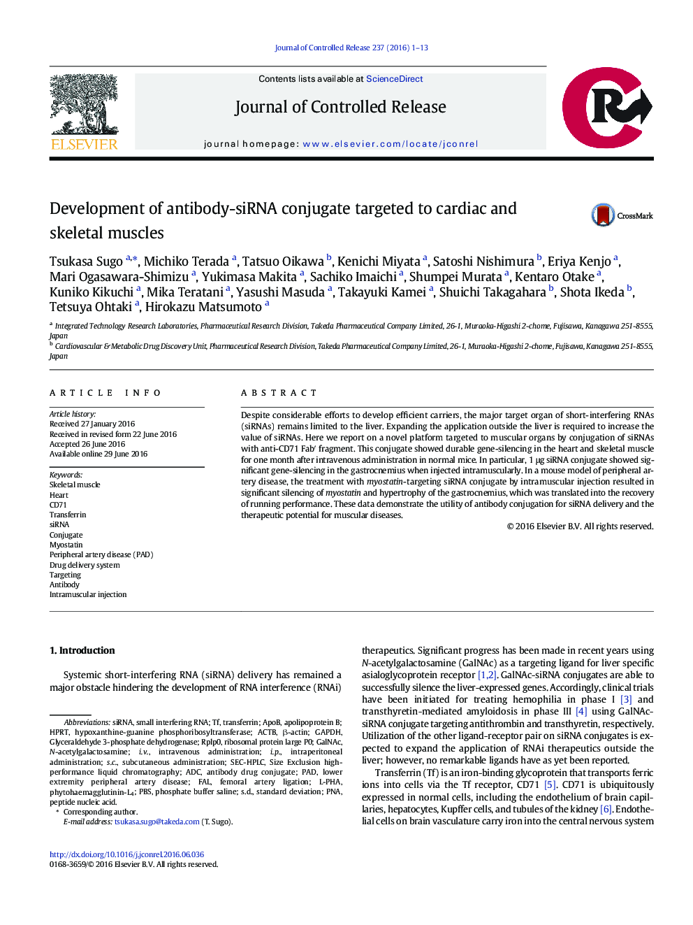 Development of antibody-siRNA conjugate targeted to cardiac and skeletal muscles