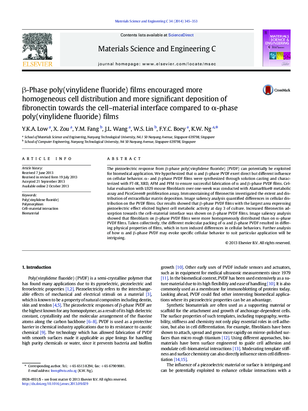 Î²-Phase poly(vinylidene fluoride) films encouraged more homogeneous cell distribution and more significant deposition of fibronectin towards the cell-material interface compared to Î±-phase poly(vinylidene fluoride) films