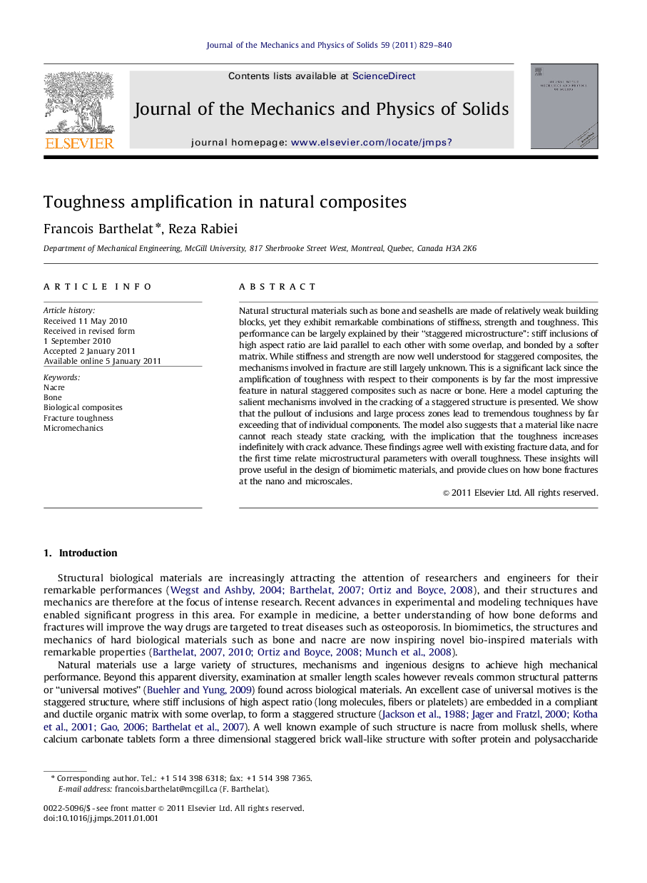 Toughness amplification in natural composites