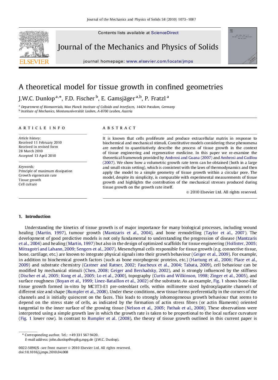 A theoretical model for tissue growth in confined geometries