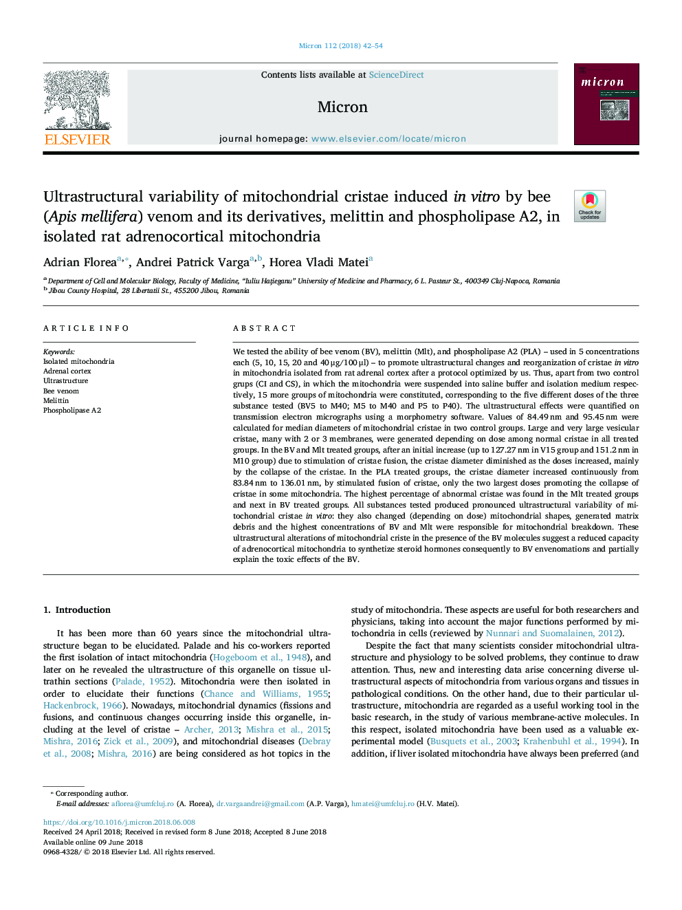 Ultrastructural variability of mitochondrial cristae induced in vitro by bee (Apis mellifera) venom and its derivatives, melittin and phospholipase A2, in isolated rat adrenocortical mitochondria