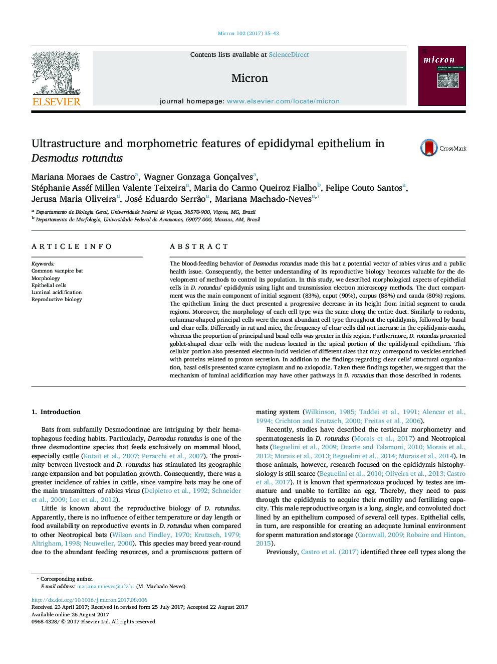 Ultrastructure and morphometric features of epididymal epithelium in Desmodus rotundus