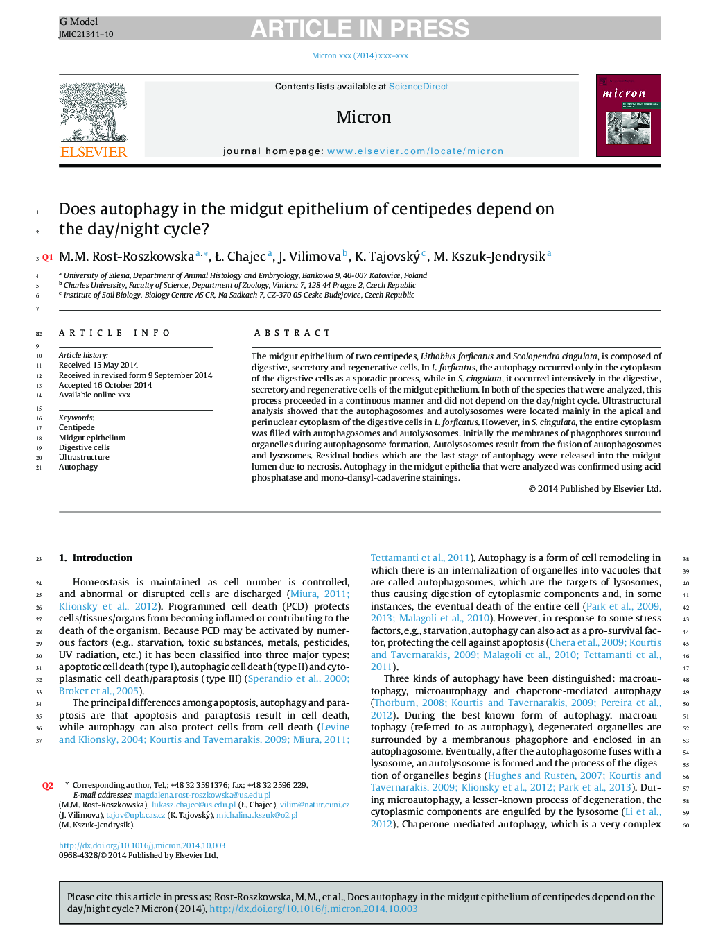 Does autophagy in the midgut epithelium of centipedes depend on the day/night cycle?