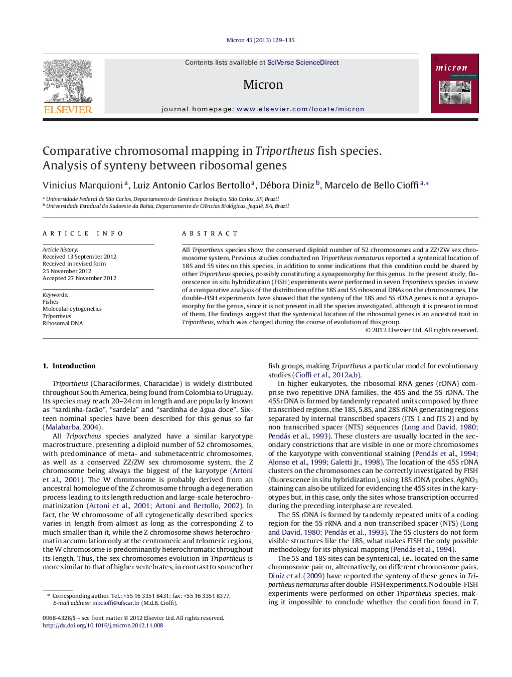 Comparative chromosomal mapping in Triportheus fish species. Analysis of synteny between ribosomal genes