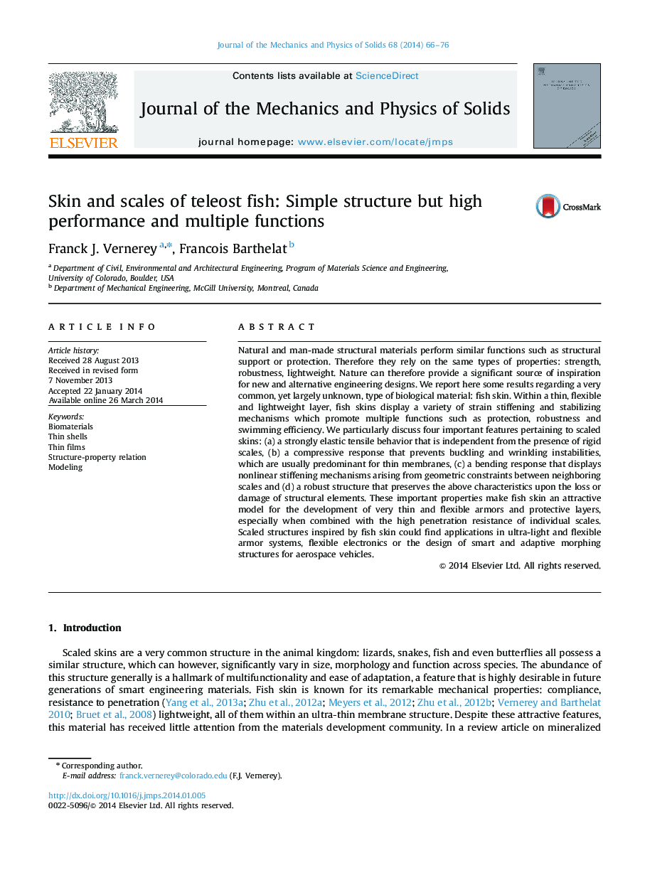 Skin and scales of teleost fish: Simple structure but high performance and multiple functions