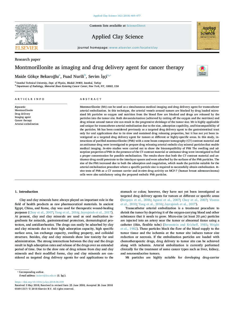 Montmorillonite as imaging and drug delivery agent for cancer therapy