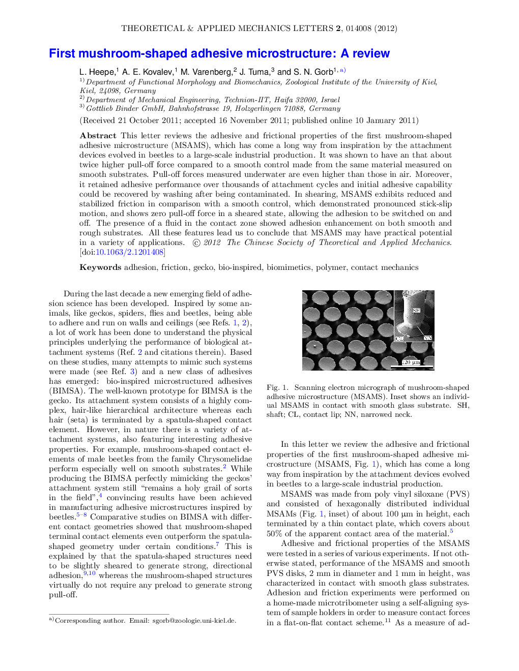 عکس صفحه اول مقاله: First mushroom-shaped adhesive microstructure: A review First mushroom-shaped adhesive microstructure: A review