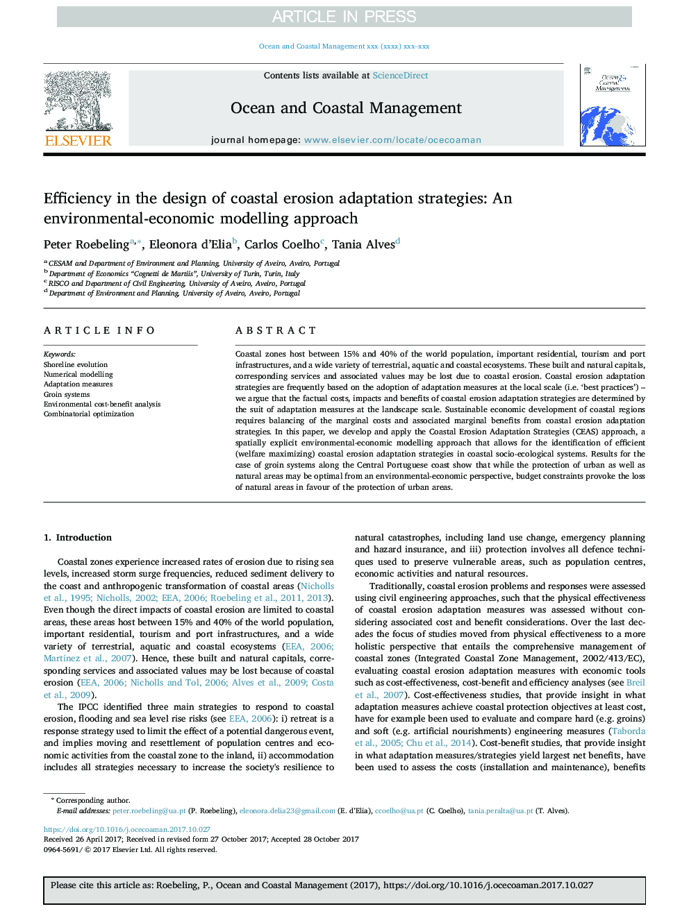 Efficiency in the design of coastal erosion adaptation strategies: An environmental-economic modelling approach