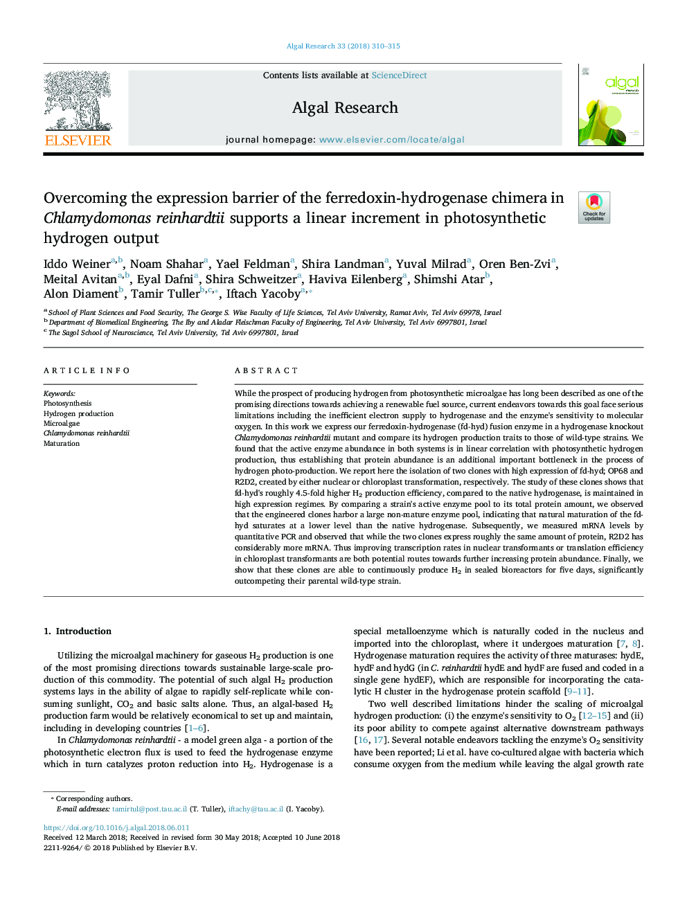 Overcoming the expression barrier of the ferredoxinâhydrogenase chimera in Chlamydomonas reinhardtii supports a linear increment in photosynthetic hydrogen output