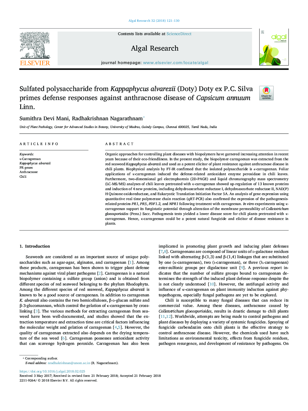 Sulfated polysaccharide from Kappaphycus alvarezii (Doty) Doty ex P.C. Silva primes defense responses against anthracnose disease of Capsicum annuum Linn.
