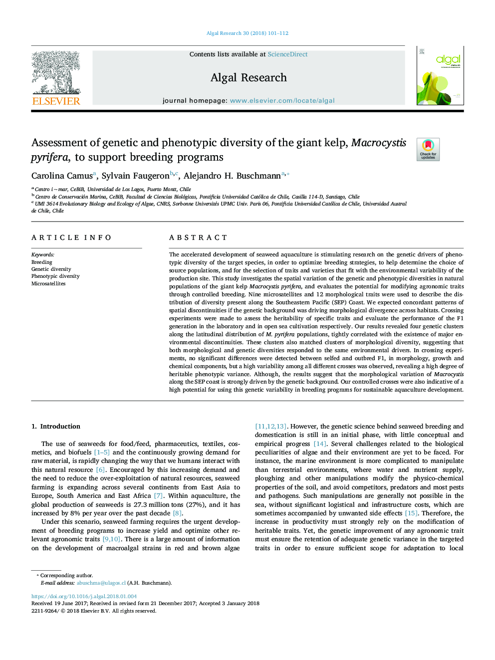 Assessment of genetic and phenotypic diversity of the giant kelp, Macrocystis pyrifera, to support breeding programs