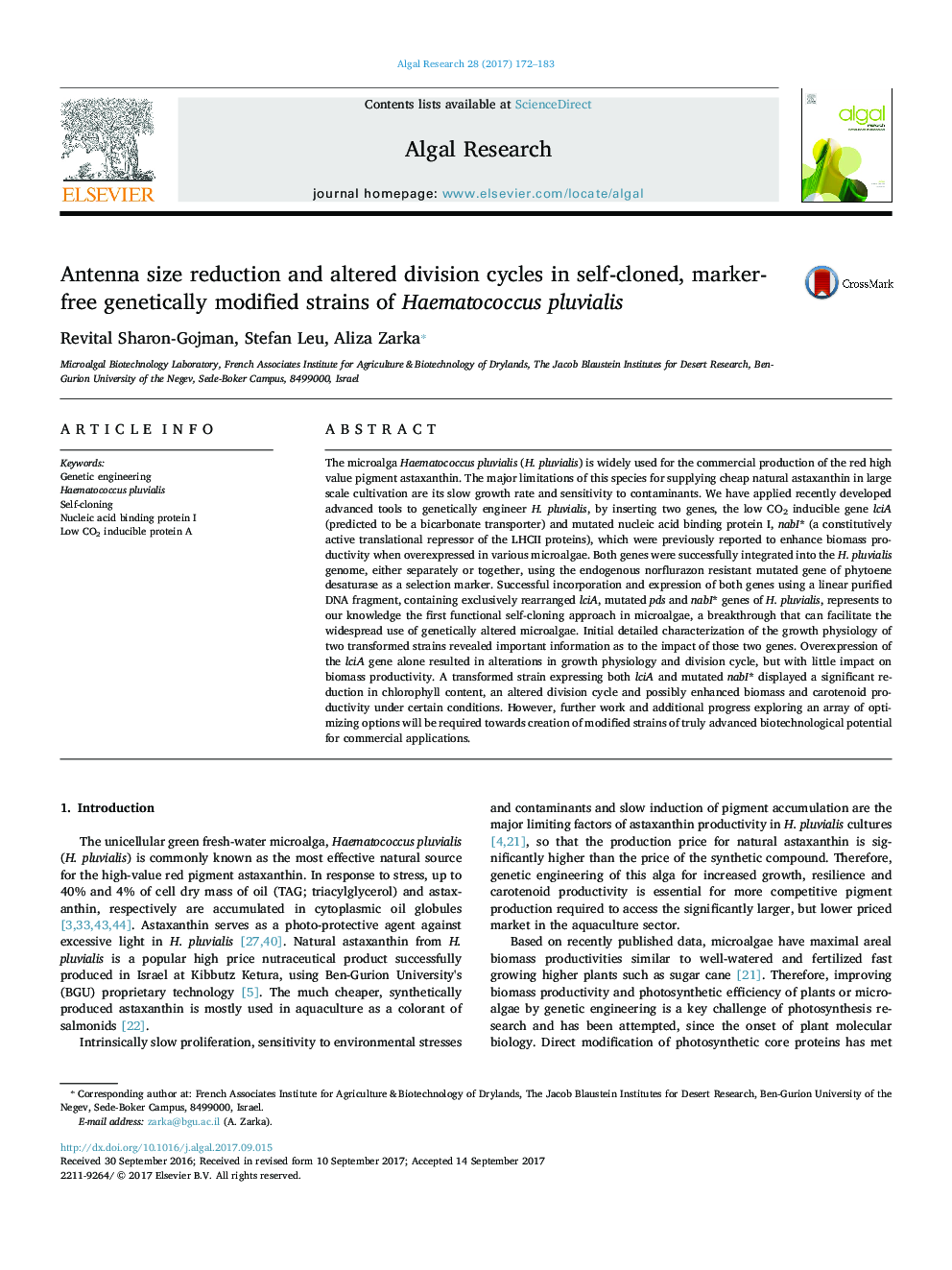 Antenna size reduction and altered division cycles in self-cloned, marker-free genetically modified strains of Haematococcus pluvialis