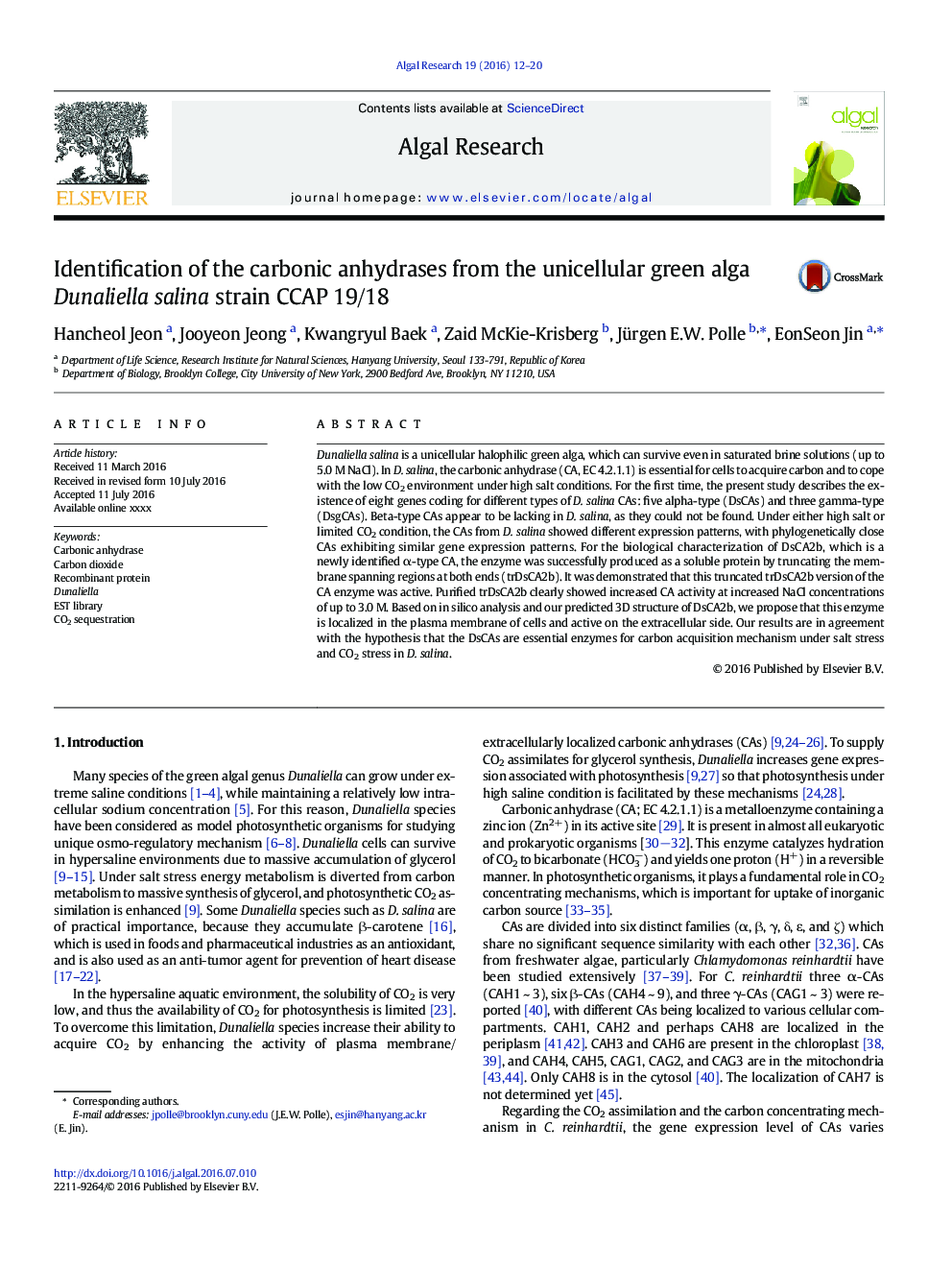 Identification of the carbonic anhydrases from the unicellular green alga Dunaliella salina strain CCAP 19/18