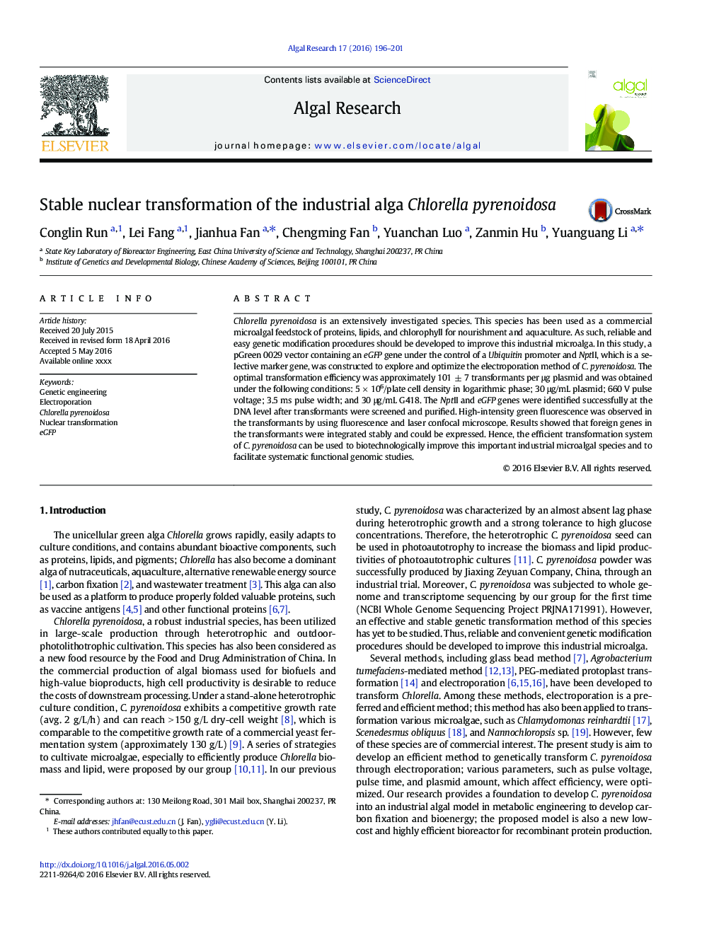 Stable nuclear transformation of the industrial alga Chlorella pyrenoidosa