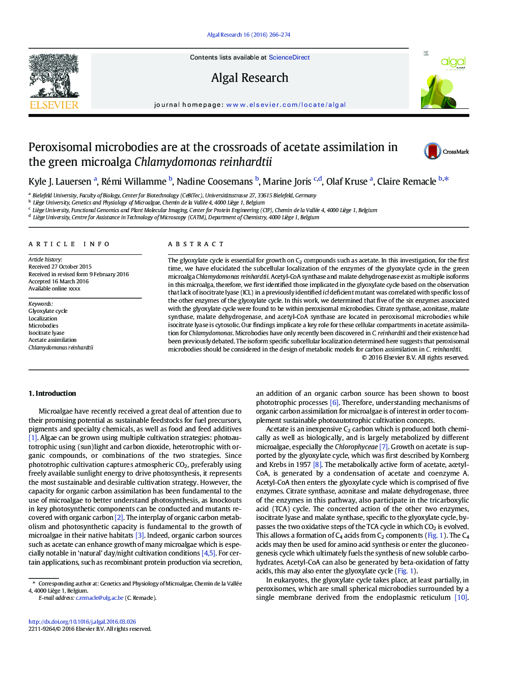 Peroxisomal microbodies are at the crossroads of acetate assimilation in the green microalga Chlamydomonas reinhardtii