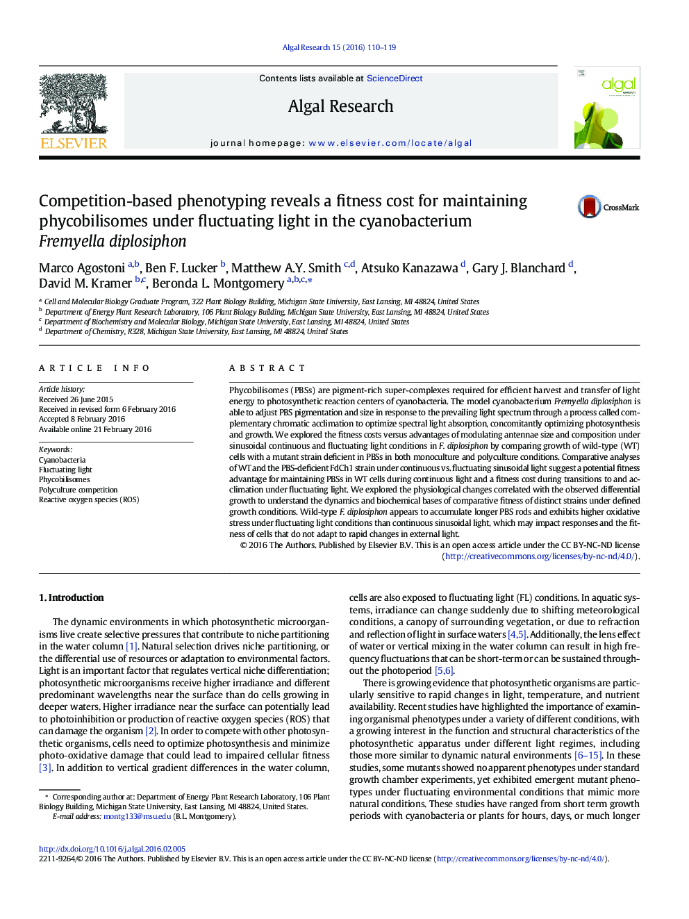 Competition-based phenotyping reveals a fitness cost for maintaining phycobilisomes under fluctuating light in the cyanobacterium Fremyella diplosiphon