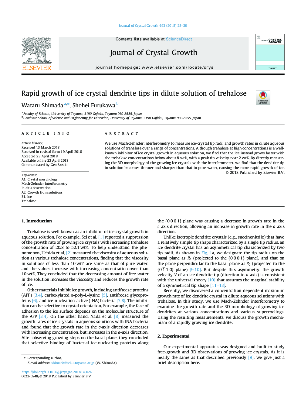 Rapid growth of ice crystal dendrite tips in dilute solution of trehalose