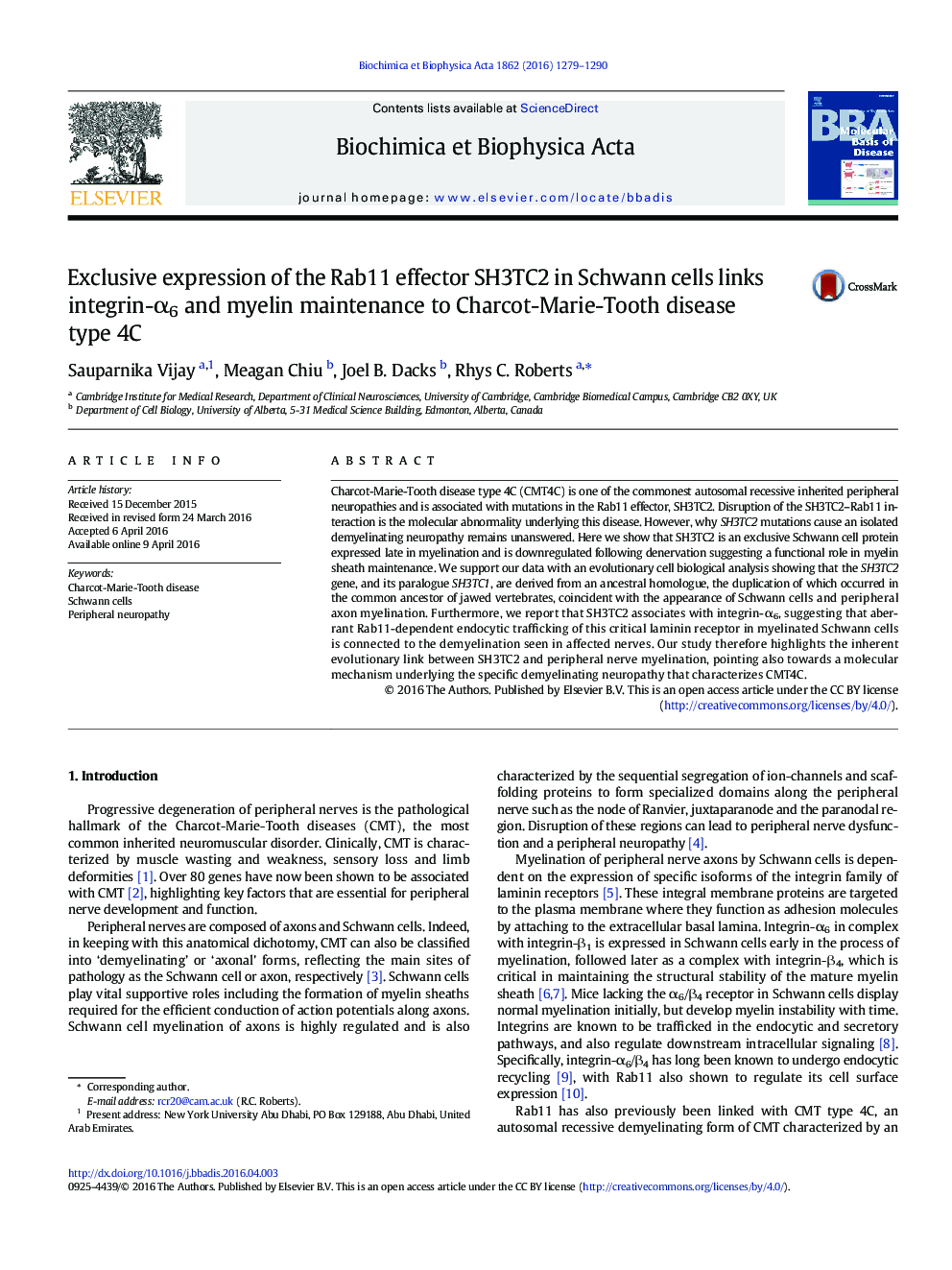 Exclusive expression of the Rab11 effector SH3TC2 in Schwann cells links integrin-Î±6 and myelin maintenance to Charcot-Marie-Tooth disease type 4C