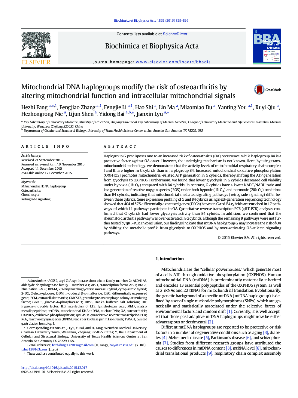 Mitochondrial DNA haplogroups modify the risk of osteoarthritis by altering mitochondrial function and intracellular mitochondrial signals