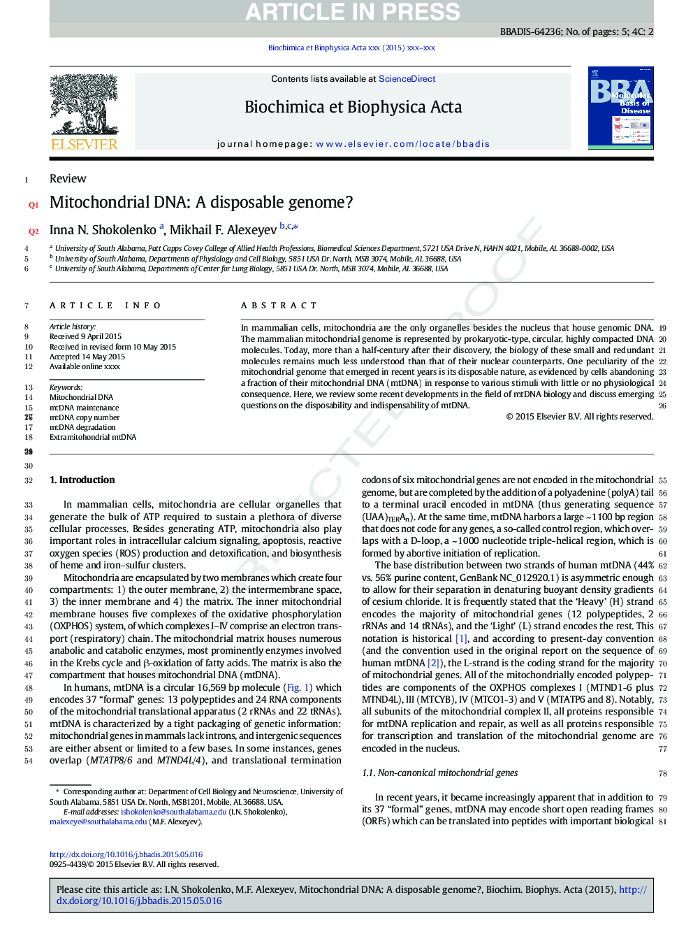 Mitochondrial DNA: A disposable genome?