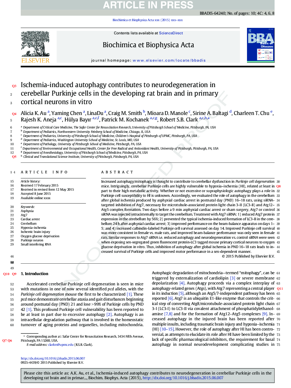 Ischemia-induced autophagy contributes to neurodegeneration in cerebellar Purkinje cells in the developing rat brain and in primary cortical neurons in vitro