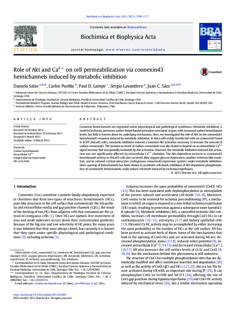 Role of Akt and Ca2Â + on cell permeabilization via connexin43 hemichannels induced by metabolic inhibition